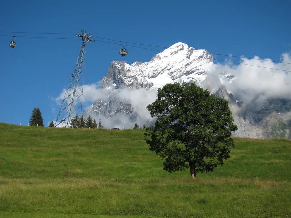 Grindelwald First: Gondola, Cliff Walk and How Long to Allow