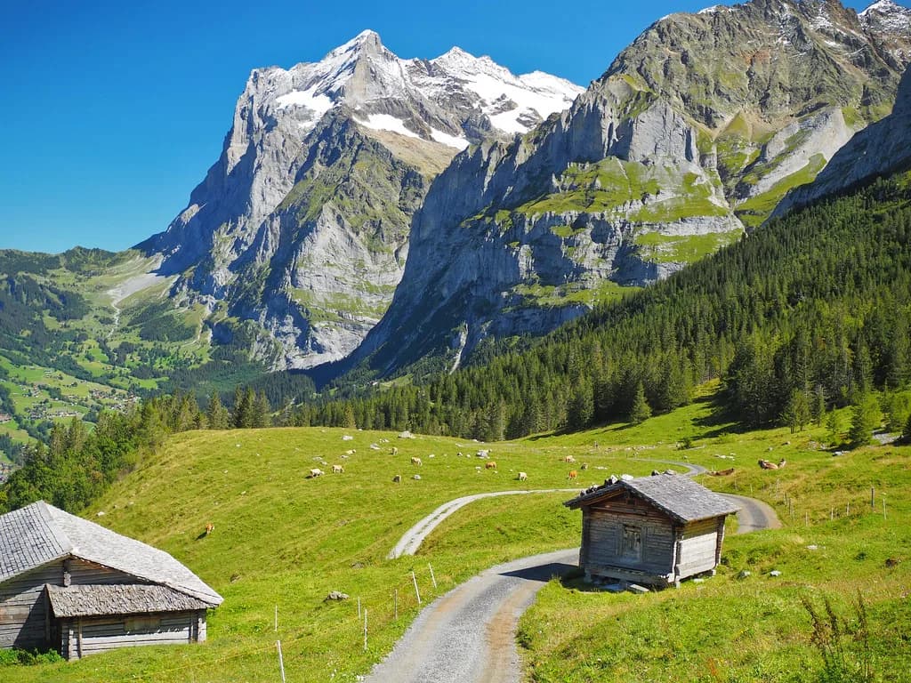 Grindelwald in July: Summer Peaks, Crowds and What to Plan