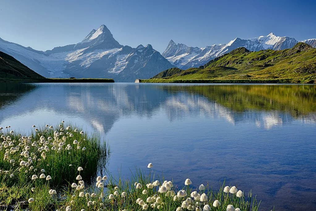 Grindelwald in Summer: What to Do and What It Costs