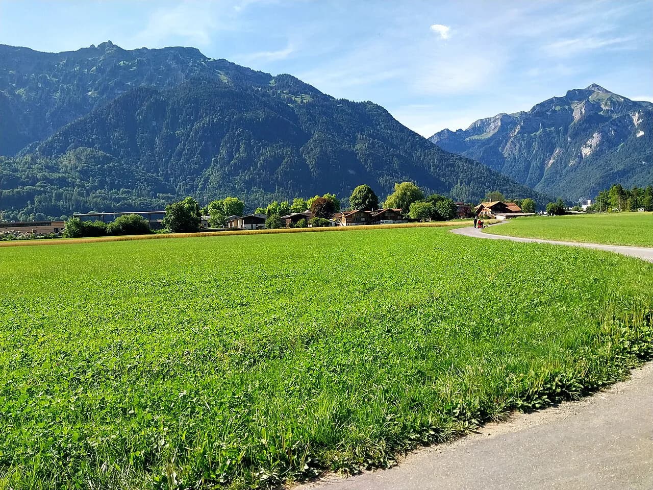 Interlaken in July: Weather, Crowds and How to Plan the Days