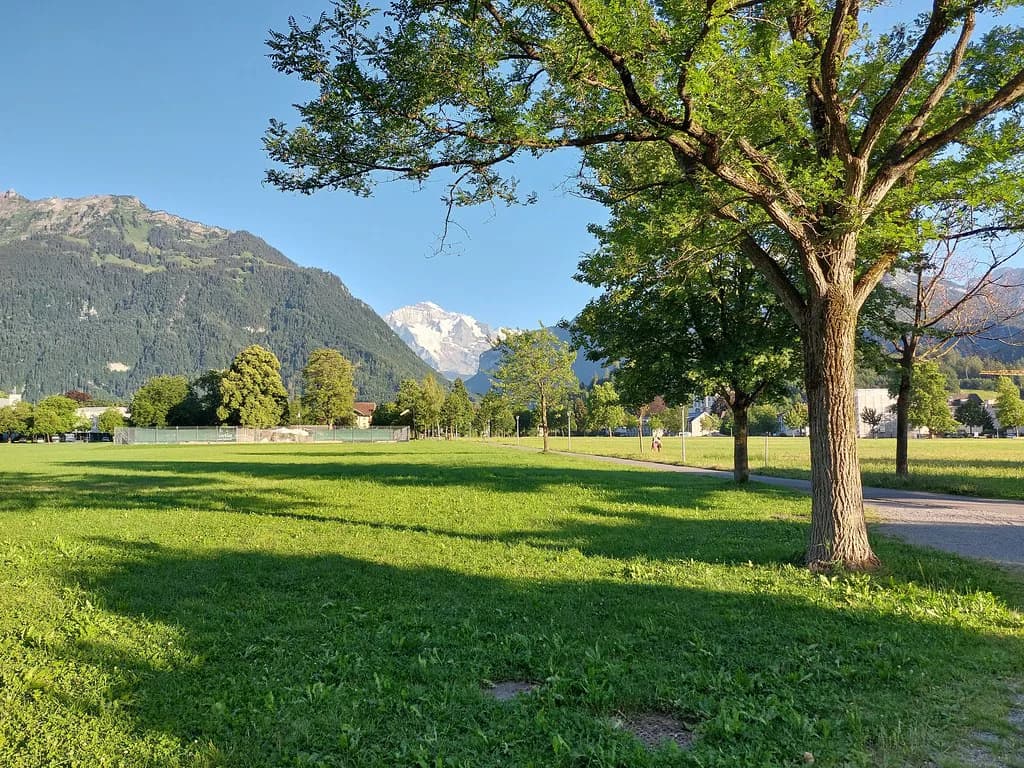 Interlaken in Summer: What to Do and How to Plan Your Days