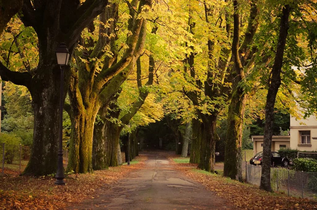 Lausanne in October: Autumn Colors, Museums and What's Open