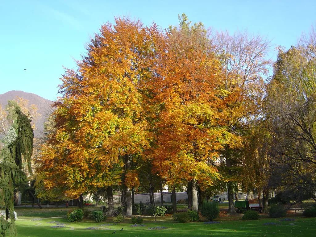 Lugano in Autumn: Weather, Crowds and How to Plan Your Days