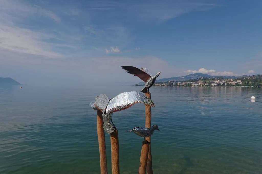 Montreux Funiculars: Which Line to Ride and What You See