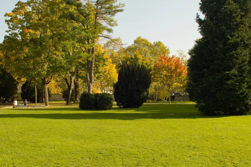 Parks in Basel: Green Spaces Worth Your Time
