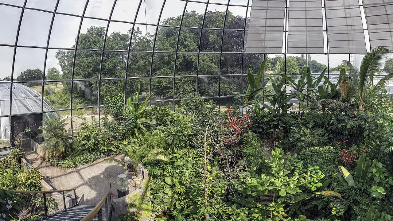 University Botanical Garden Zürich: A Visitor's Guide