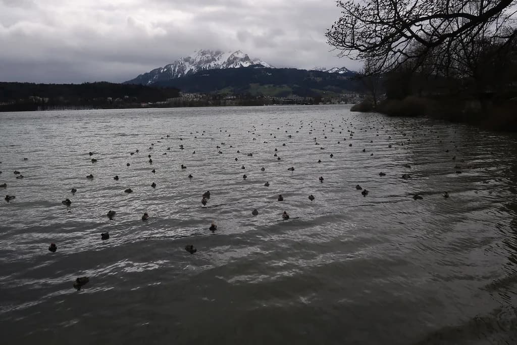 2 Days in Lucerne: A Realistic Weekend Plan