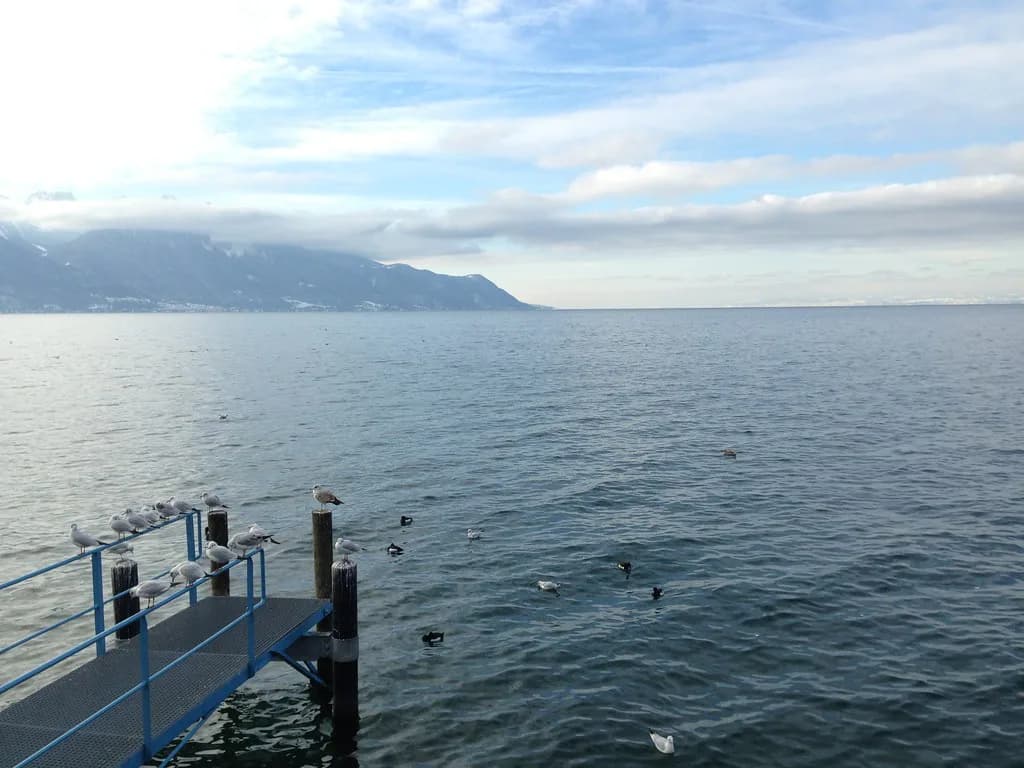 Museums in Montreux: Chillon, Queen Studio & More