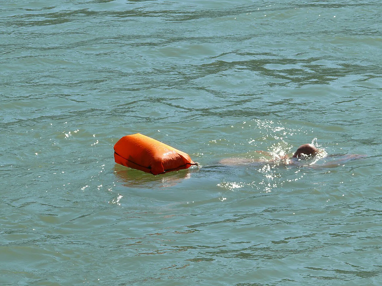 Basel Rheinschwimmer