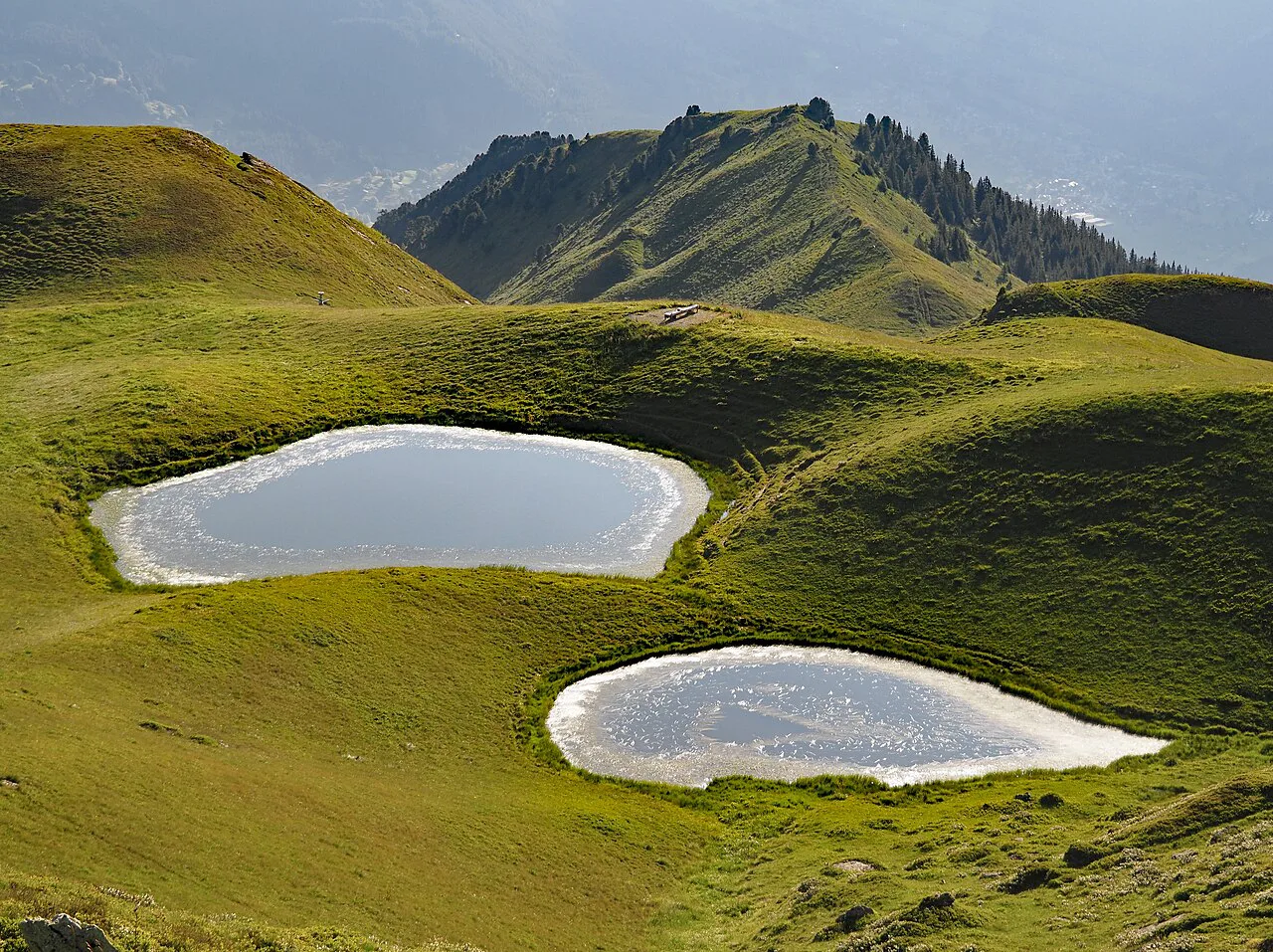 Bergseen Gummi Grindelwald