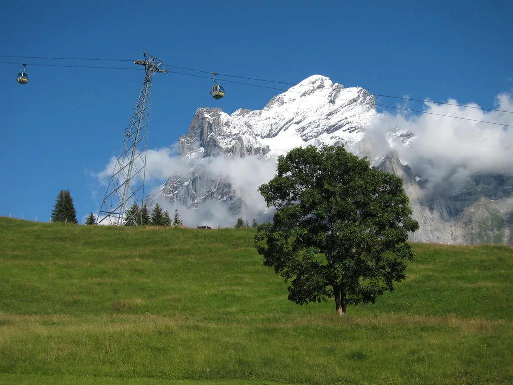 Venue view: the cable car to Grindelwald First, with the Wetterhorn in the background.