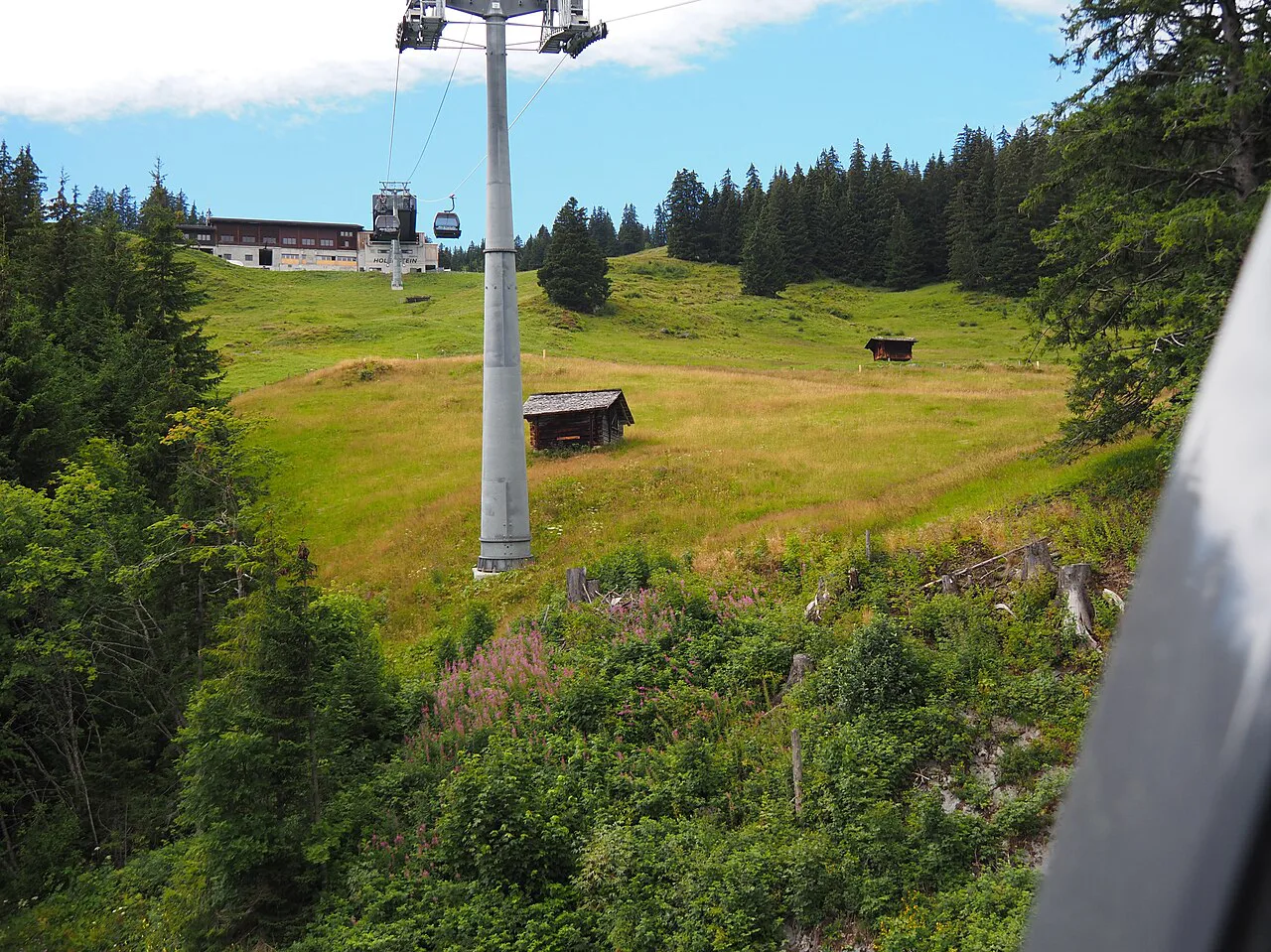 Feldmoos (Grindelwald)