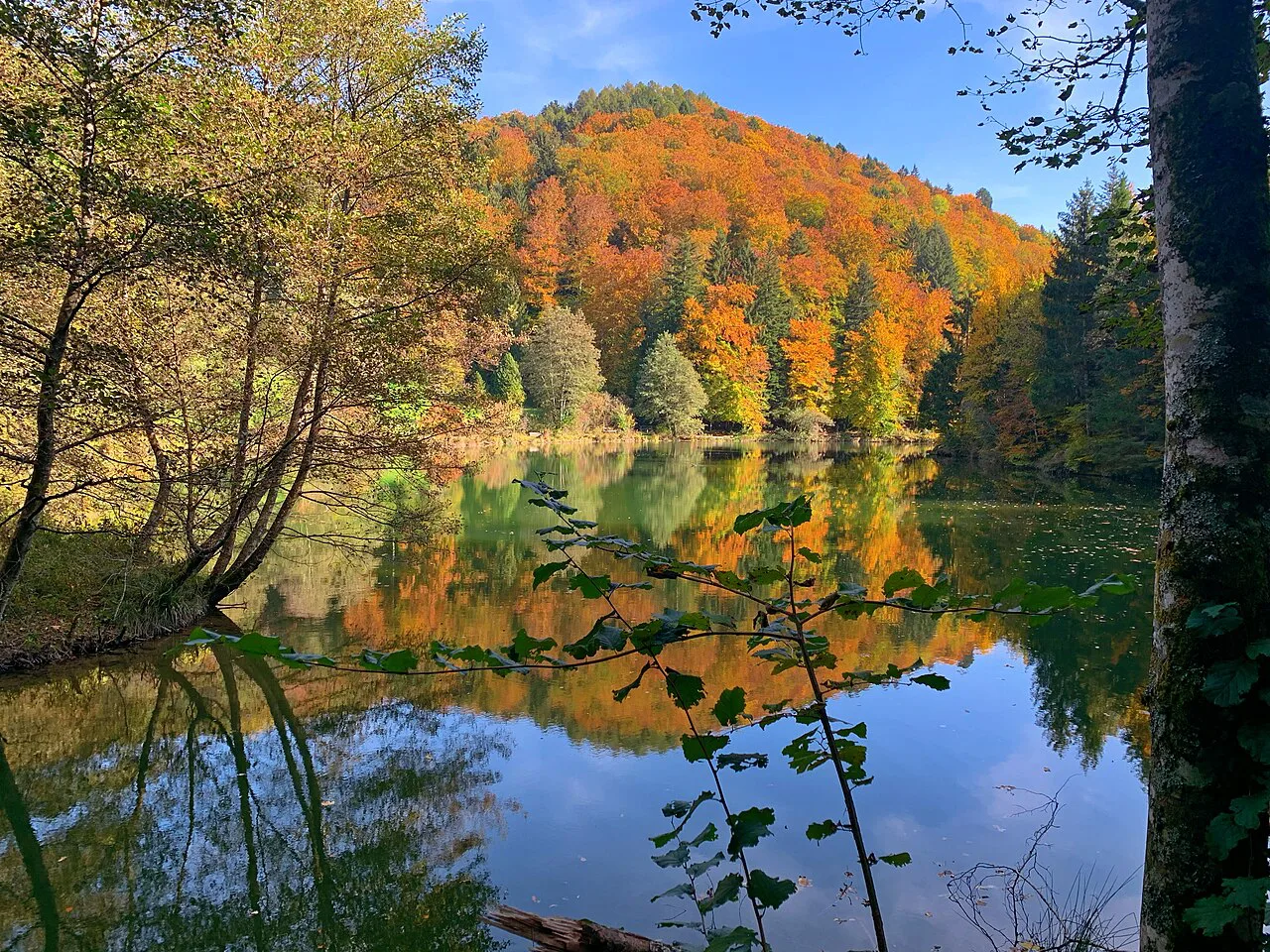 Autumn colour in Arboretum,Lausanne