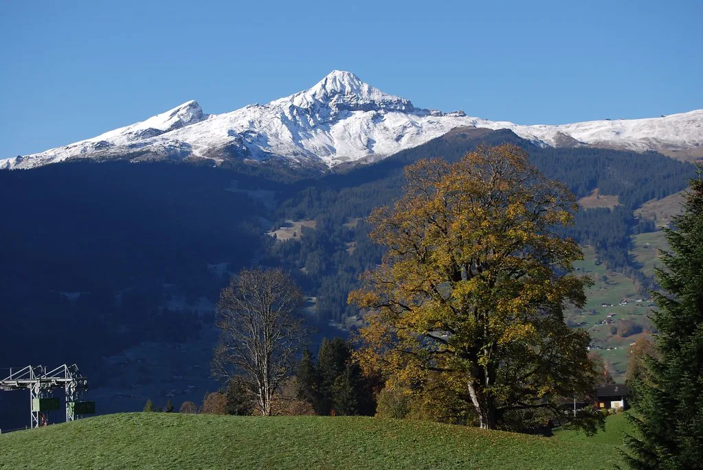 View of Grindelwald, Switzerland