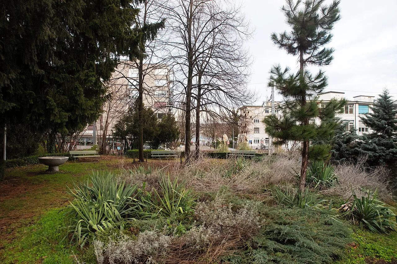 Zürich Bachstrasse