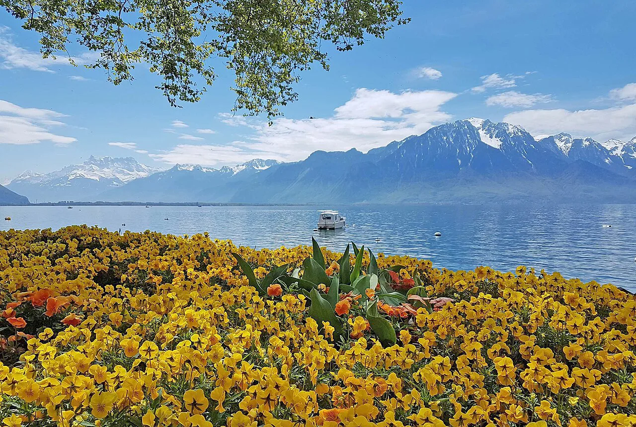 Montreux Riviera