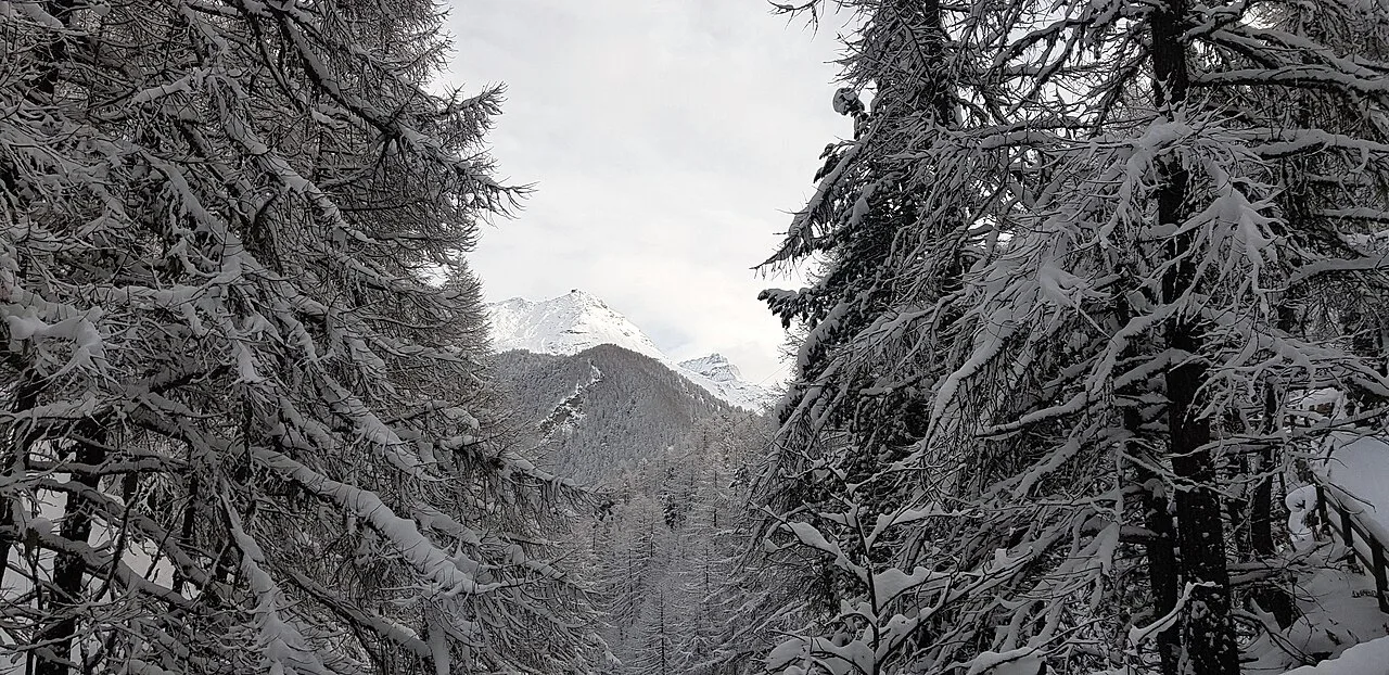 Zermatt in Winter