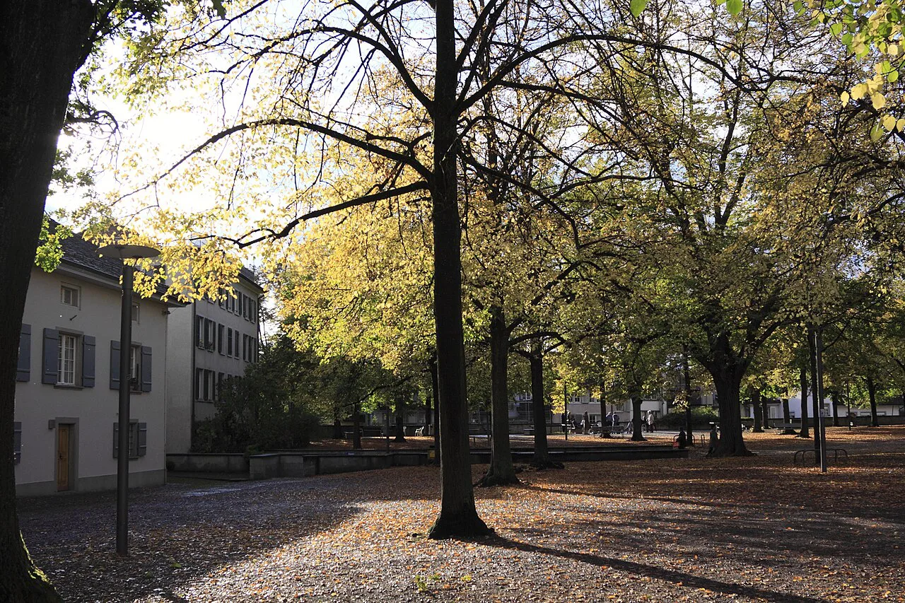 Lindenhof of Zurich in autumn - panoramio