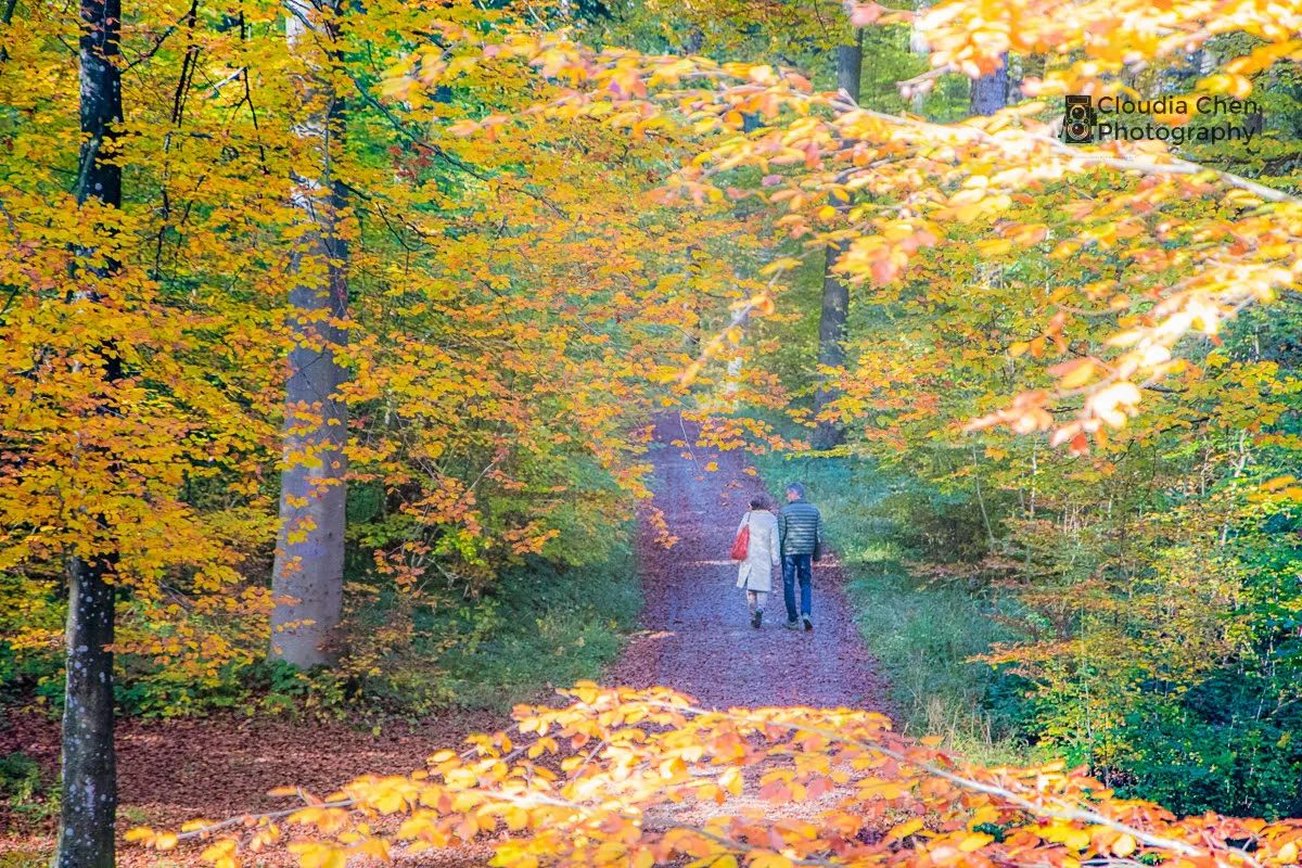 Zurich autumn