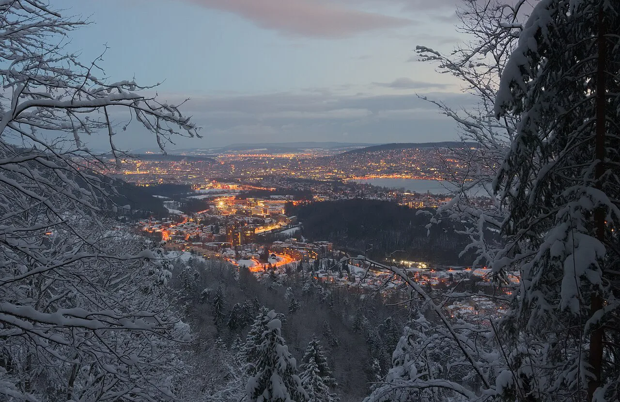 Zurich from Felsenegg blue hour